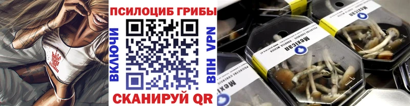 как найти закладки  Бобров  Галлюциногенные грибы мицелий 
